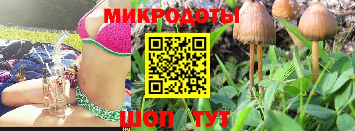 Псилоцибиновые грибы Psilocybine cubensis Вятские Поляны
