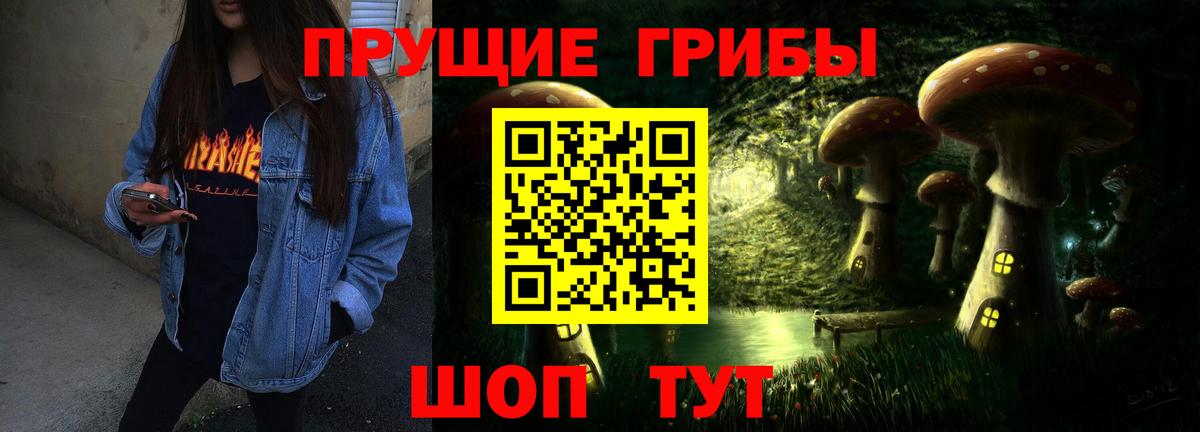 Вятские Поляны  Псилоцибиновые грибы Psilocybine cubensis  Галлюциногенные грибы мицелий  Вход с VPN 