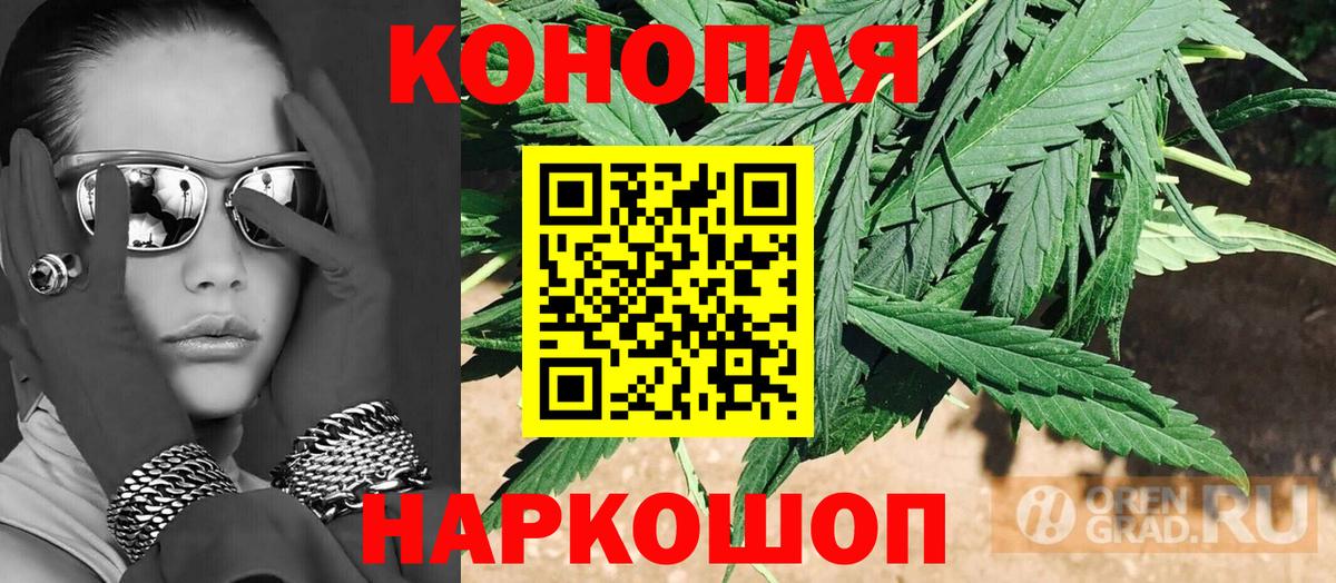Вятские Поляны  Канабис OG Kush  Вход с VPN  Шишки марихуана сатива  Каннабис VHQ 